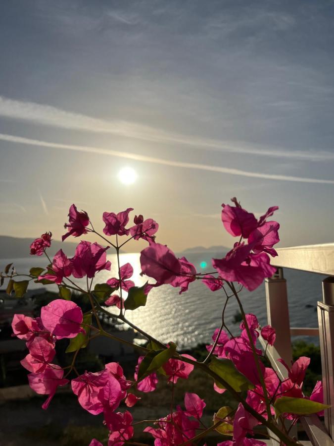 Lotus Apartments Vlorë Exterior foto